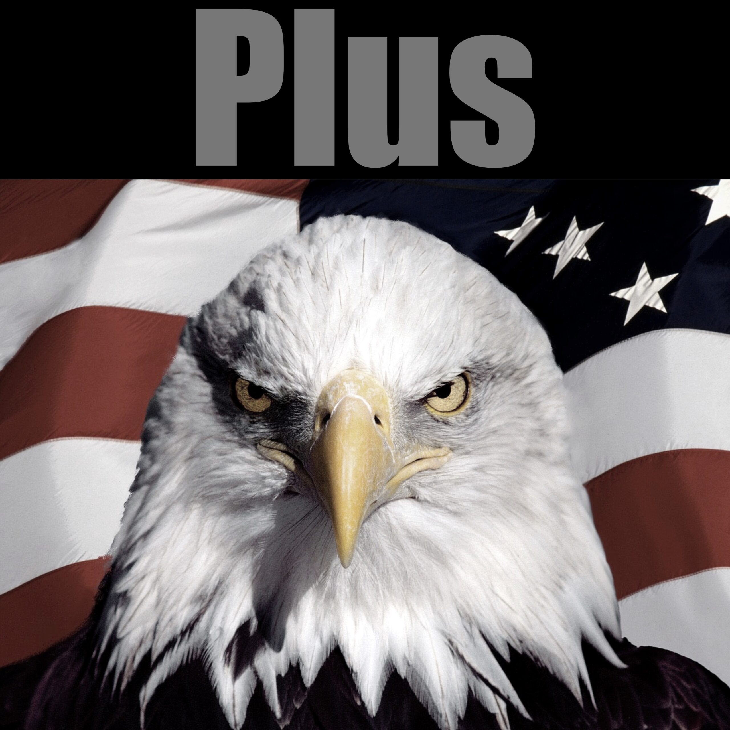 PLUS Level – 2025