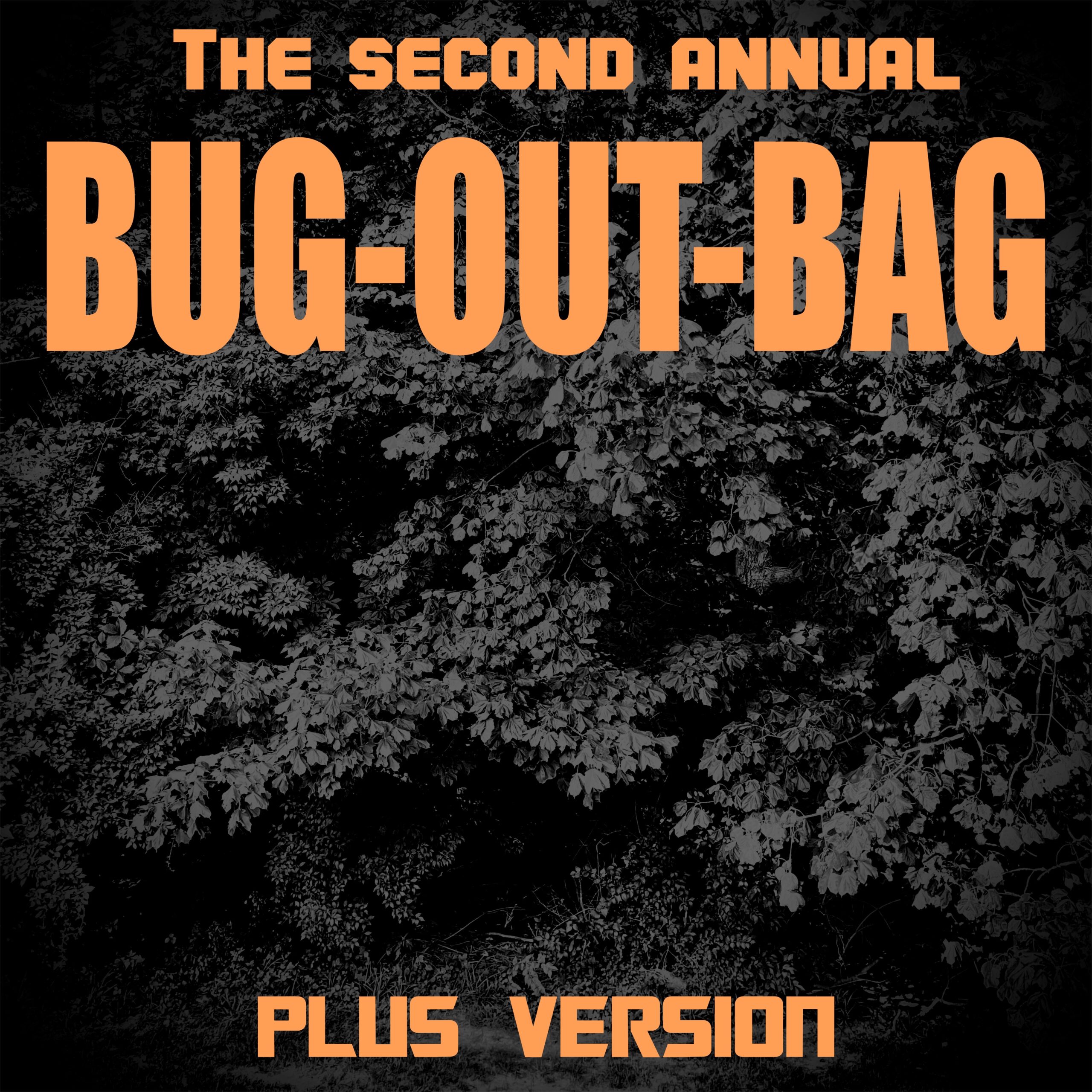 BUG-OUT-BAG PLUS VERSION – 2025