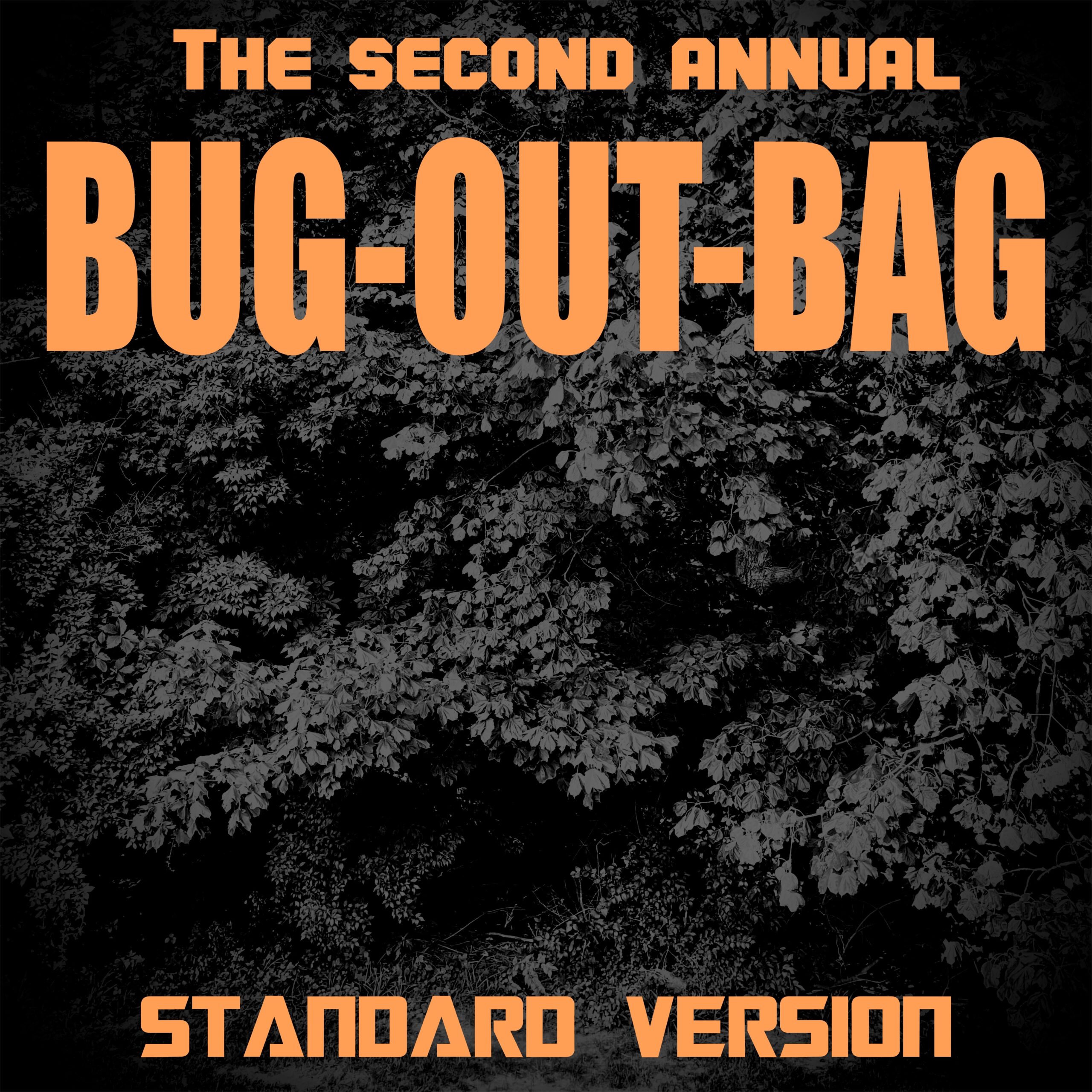 BUG-OUT-BAG STANDARD VERSION – 2025