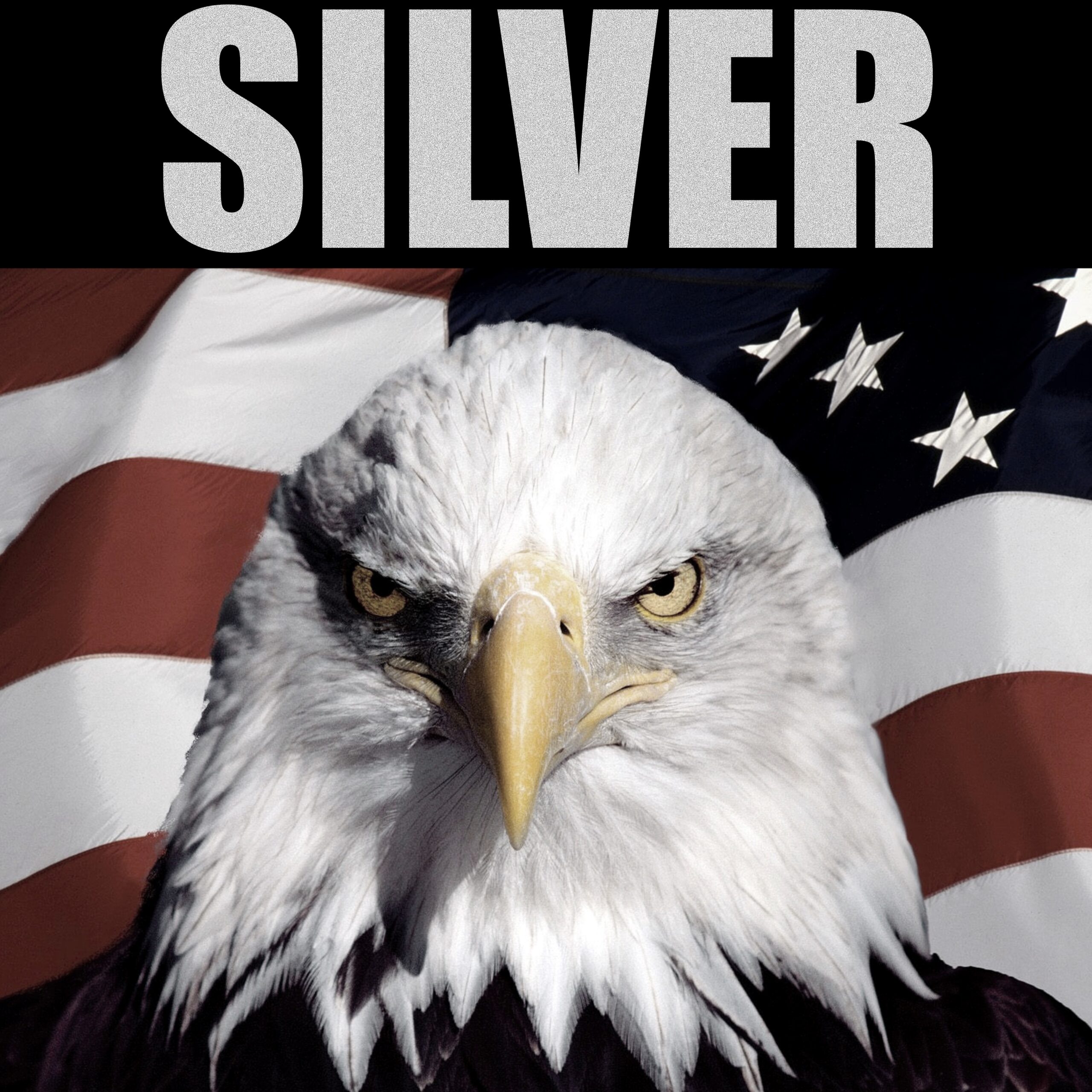 SILVER LEVEL – 2026