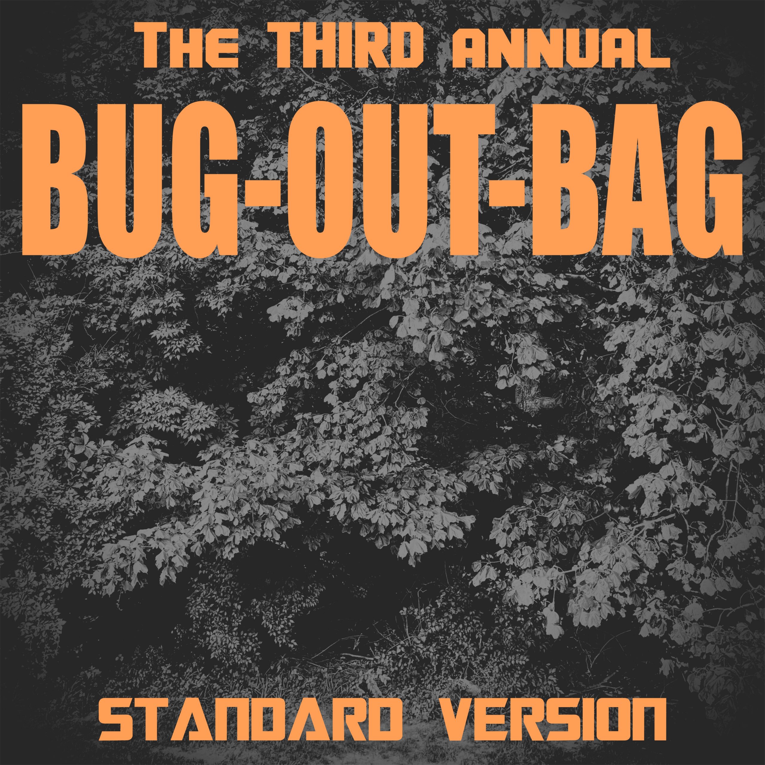 2026 Bug Out Bag STANDARD